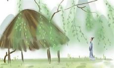 2022年属虎的运势预测：将会面临哪些挑战和机遇？