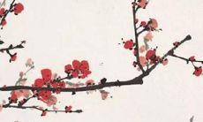 探索天刀天香中那些令人惊艳的优美名称