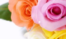 的稳健与白羊男的热情冲动是否会擦出火花？