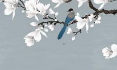 性属蛇的人在2022年的运势和运程预测