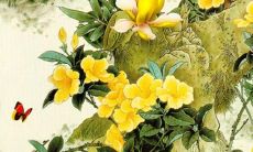 详解2022年属猴人的学业发展：吉星高照、注意防止失落与拖延，如何迎接挑战？