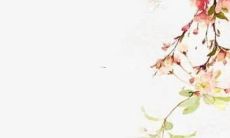 探究自己在2022年工作领域的运势，为未来职业生涯做好规划