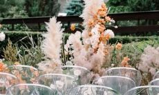 什么？多少人会被此星座迷倒？