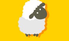 探究1991年出生的31岁生肖羊女在2021年的运势，看看这位91年的女性在今年会迎来怎样的好运和挑战！