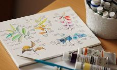 在梦中观察到别人家的房子倒塌并探索其可能的象征意义