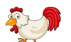 如果您是一个出生于1981年、属鸡的人，那么您应该与哪些生肖最为配对呢？