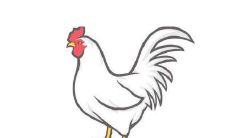 属于81年鸡年出生的人是哪个五行属性？