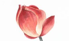 超赞的男孩名字，姓余，让你心动不已