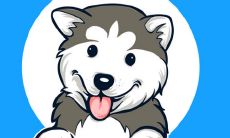 属狗人如何化解2021年刑太岁的影响？94年生肖狗者应当佩戴何种饰品？