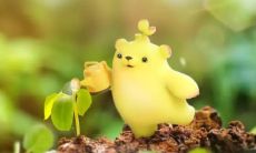 2月11日出生的人是水瓶座，其与四种星座共存可能导致的不幸姻缘情况