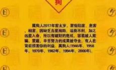 属牛的人2021年本命年是否适宜结婚？结婚时有哪些需要注意的事项？