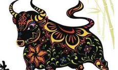 如何化解2021年属牛人的值太岁，属牛本命年的讲究和注意事项详解