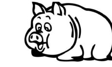 属猪人2021年全年的吉凶祸福、事业运势、财富运势、感情运势、健康运势以及可行的风水改善方法和建议