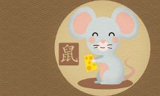 1984年出生的属鼠人该如何度过36岁的本命年？面临哪些劫难和挑战？