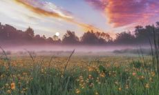 哪种男人的性格更具特征？嘴唇较厚的男性是否性格鲜明？嘴唇较薄的男性是否更可能花心？