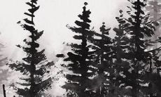 2022年马牛年个人运势详解：恒久向善，精进追求，成就自我！