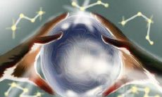 如何化解2021年犯太岁带来的厄运和不利因素？——解析犯太岁的含义与对应的转运方法