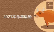 2021年本命年属牛人的运势吉凶预测及详细分析