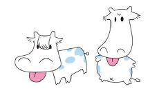 在1997年本命属牛的人，有哪些需要遵守的禁忌？又或者，在2021年你可以佩戴哪些物品以带来更好的运势？