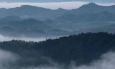 本月（指当前月份）的属鼠人运势：2022年前景与展望