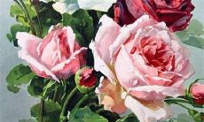 2022年属蛇女的婚姻运势详细预测：职场压力、桃花运势与感情发展趋势分析