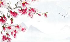 比较2022年和1990年马的运势，并探究马在新年的表现趋势和可能影响