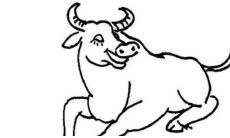 2021年属牛人的全年运势及每月运程大揭秘