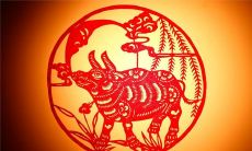 2021年本命年属牛人的全年综合运势展望