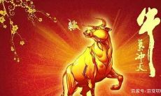 属牛的人，请注意了！你们的生肖牛本命年运势如何？是否已经度过了两个最倒霉的年龄？赶快来了解一下吧！