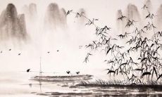 预测：从属虎女1974年的命运到晚年的命运对比预测