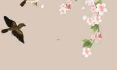 如何破解虎年属相犯太岁的命运瓶颈？