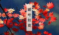 霜降当季出生的羊儿日柱及此节气的温度大致是多少？——一篇关于2015年属羊人的文章