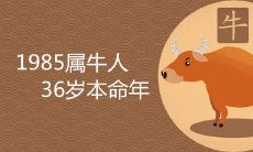 如何化解1985属牛36岁本命年的劫难？经验分享及建议！