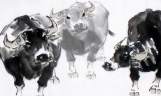 在生肖牛的“犯太岁”期间，是否会遭遇到“犯小人”的情况？