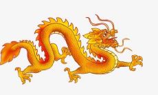 和运程预测：揭示属龙人在2021年生肖属相运势中的所有细节