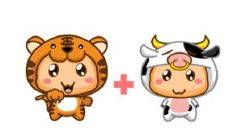 在中国传统文化中，属牛与属虎的婚姻缘分如何？探究两种属相的配对意义与可能出现的情感纠结