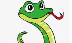 属蛇人适合从事哪些创意性、有魅力的职业，例如时装模特儿？