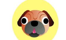 属于哪个生肖的人出生于1994年？