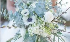 探究天蝎座内心深处最珍贵的宝藏是什么？