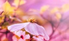 2021年太岁方位确定！掌握牛年犯太岁各属相的化解方法，轻松应对太岁位的祸福变化！让你的运势事事顺畅，超级准确！