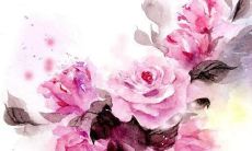 生，让你在人群中脱颖而出的独特选择！