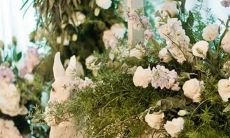 星际之门：宫位星座起航，踏上星际之旅