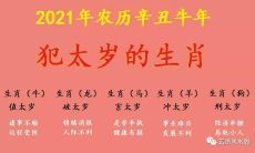 姜群详解2021年辛丑牛年犯太岁的生肖，包括牛、龙、马、羊和狗，以及值得注意的太岁年事项
