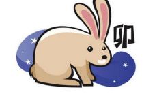 什么生肖属于1963年出生的人？