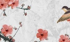 2022年80年生的猴女运势和运程展望