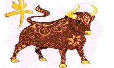 为什么属牛的人不必惧怕本命年，以及2021本命年需要注意的事项？