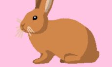 探究1951年出生的71岁属兔女性在2021年的运程：今年51年如何拱手将天唐?!