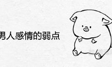 属猪男人感情中的易受伤弱点详细分析