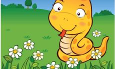 一位出生于1953年的69岁生肖蛇男，你猜他在2021年的运势如何？