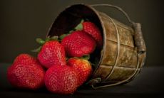 属虎男和属龙女婚姻配对是否合适——来自98年出生的虎和00年出生的龙的结婚后果分析